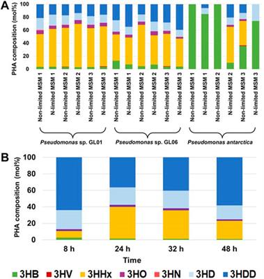 Effect of short- and medium-chain fatty acid mixture on polyhydroxyalkanoate production by Pseudomonas strains grown under different culture conditions